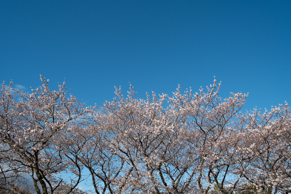 20140330_2
