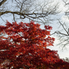 佐久山御殿山公園