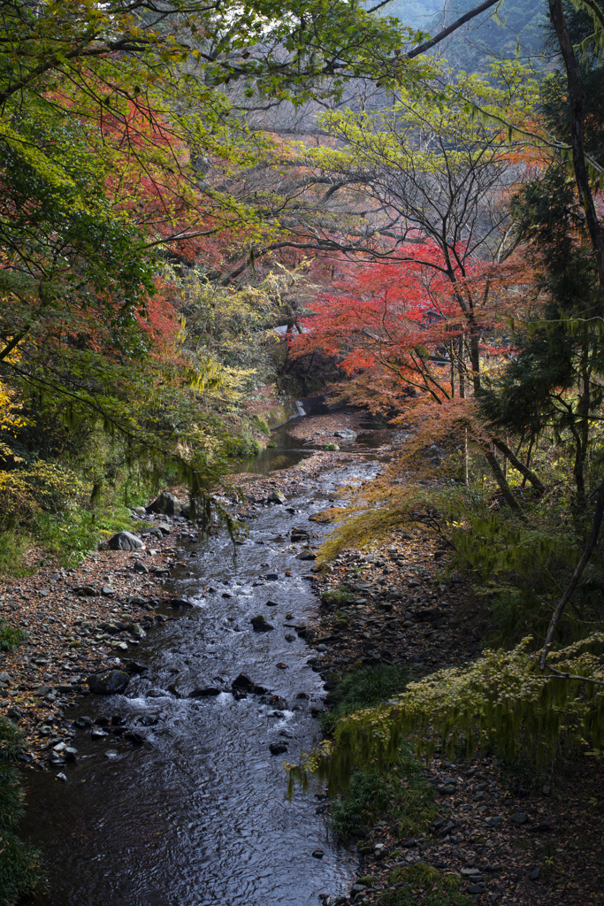 観光お断り雲厳寺
