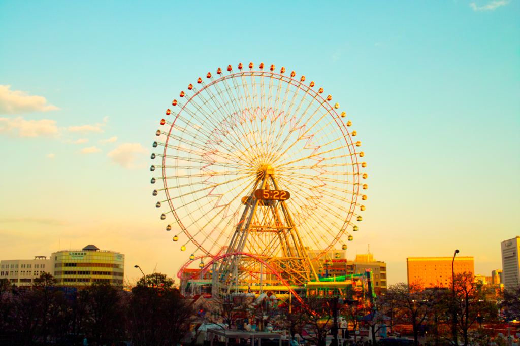 少年の観た夢