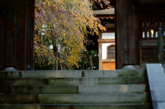 20141124_4