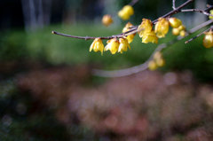 20150201_2
