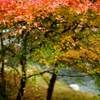 佐野　蓬莱山の紅葉