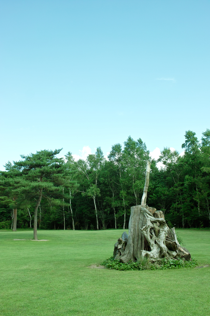 ナゾノオブジェ