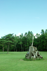 ナゾノオブジェ