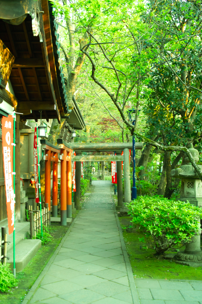 僕は感じる、やさしいにをいを。