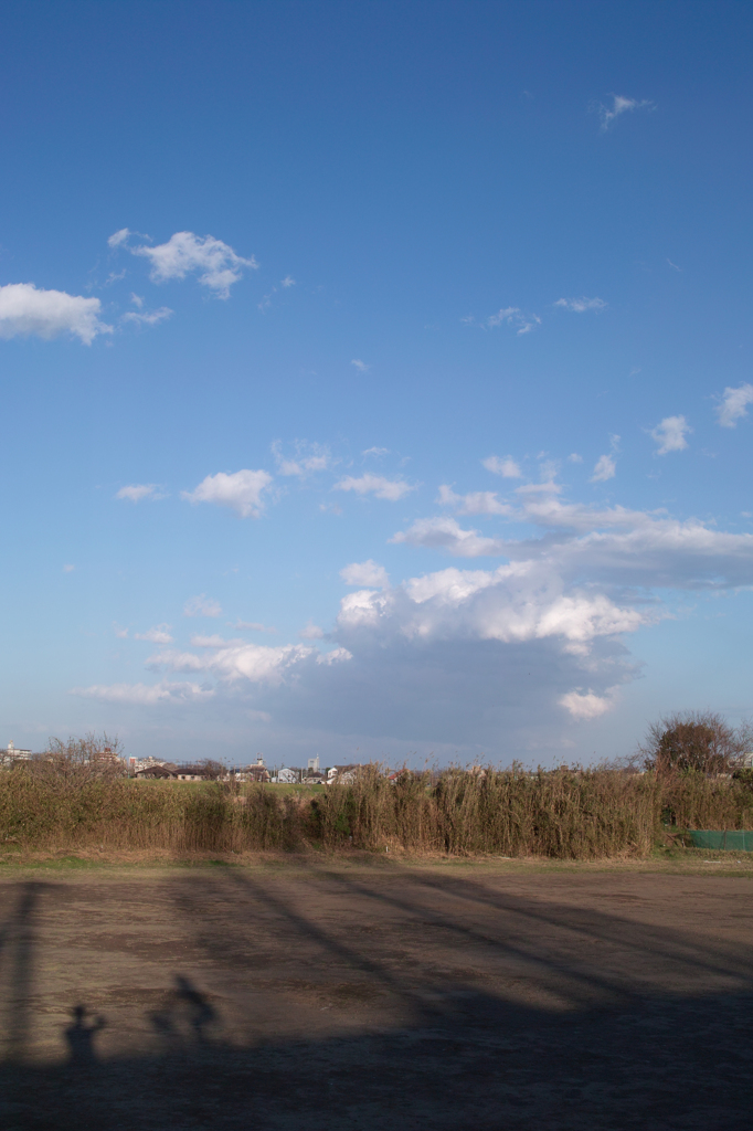 アメリカナイズ