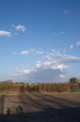 アメリカナイズ