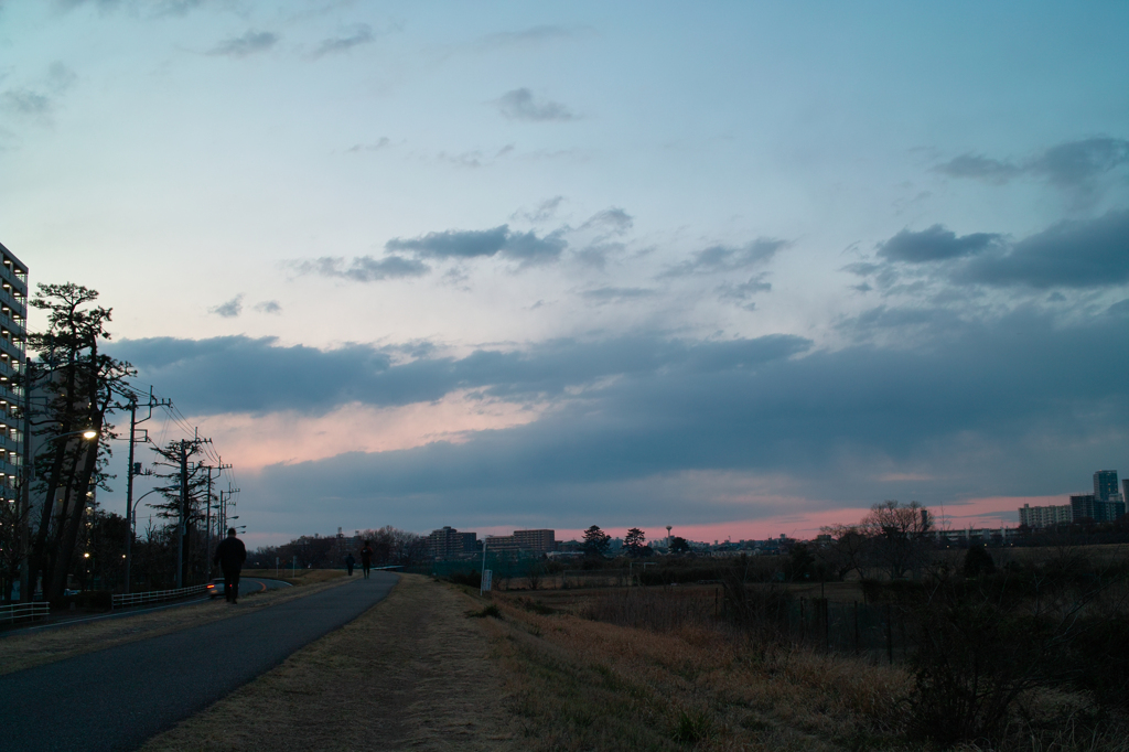 久しぶりの夕空