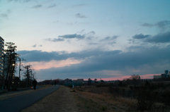 久しぶりの夕空
