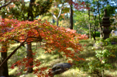 20141123_2
