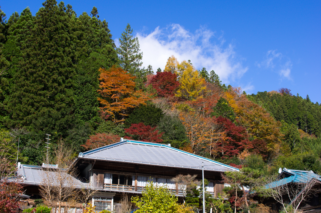 民家と紅葉