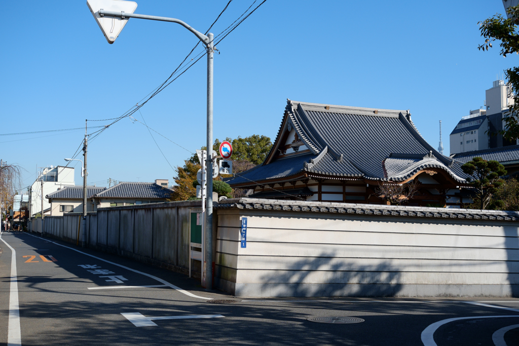 ヤナ角