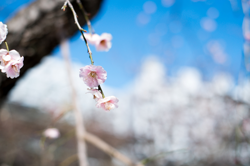 20140225