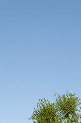 ★？　なぞの白い点