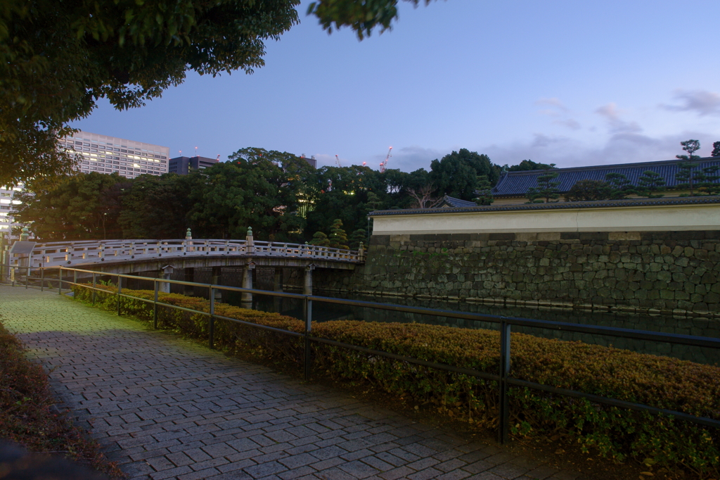 日本武道館前：夜