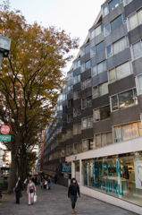 アパートメント