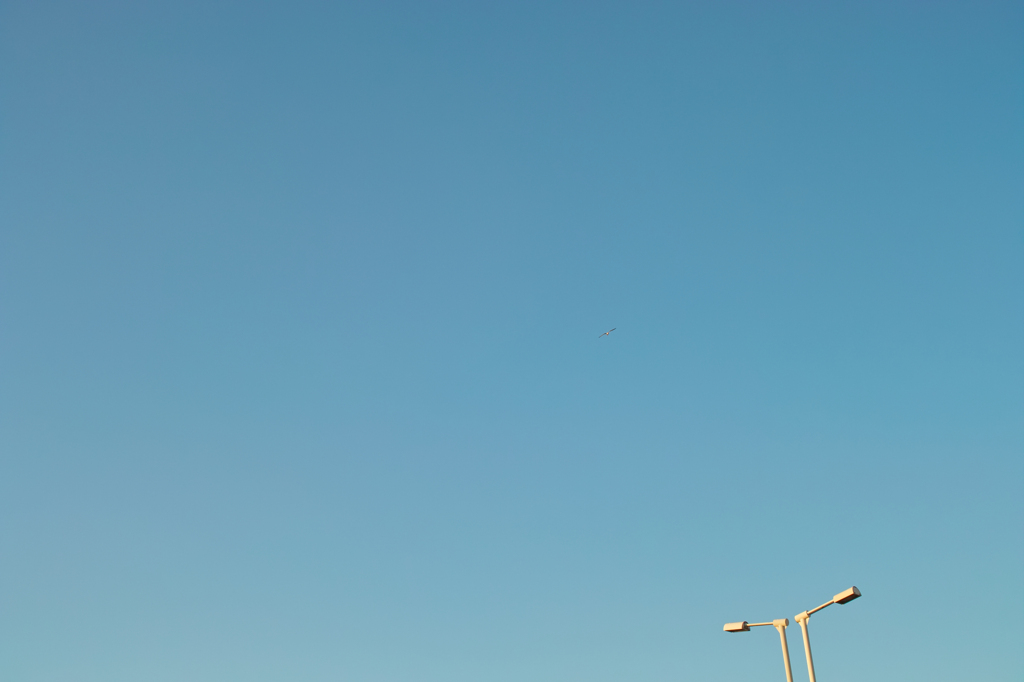 滑空