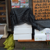 DSCF6392