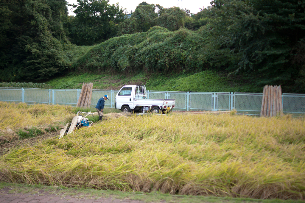 都会に残る田園風景