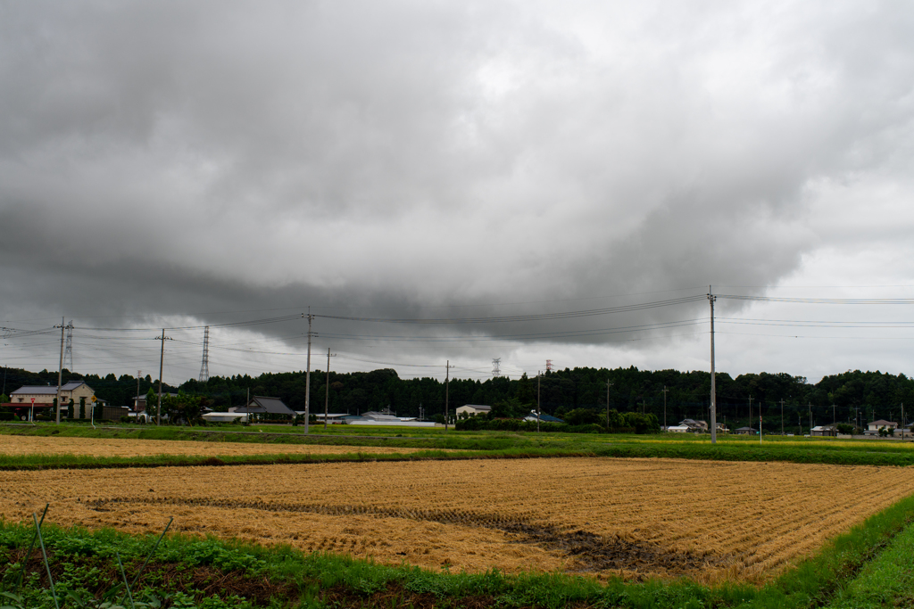 今にも雨が降り出しそうな空