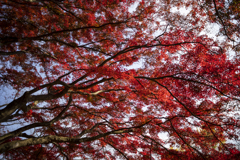 佐久山御殿山公園