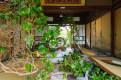 足利　はなとうつわ展にて