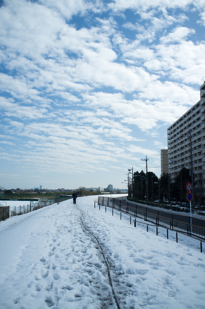 雪明け