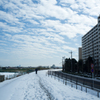 雪明け