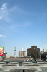 上野公園からスカイツリー