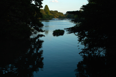 井の頭公園