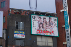 初めは、嫌いでした。