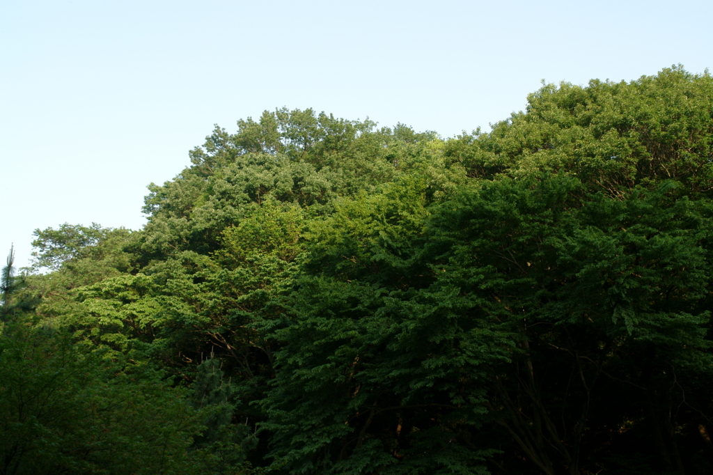 6_0521_R1