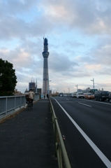 スカイツリー201011