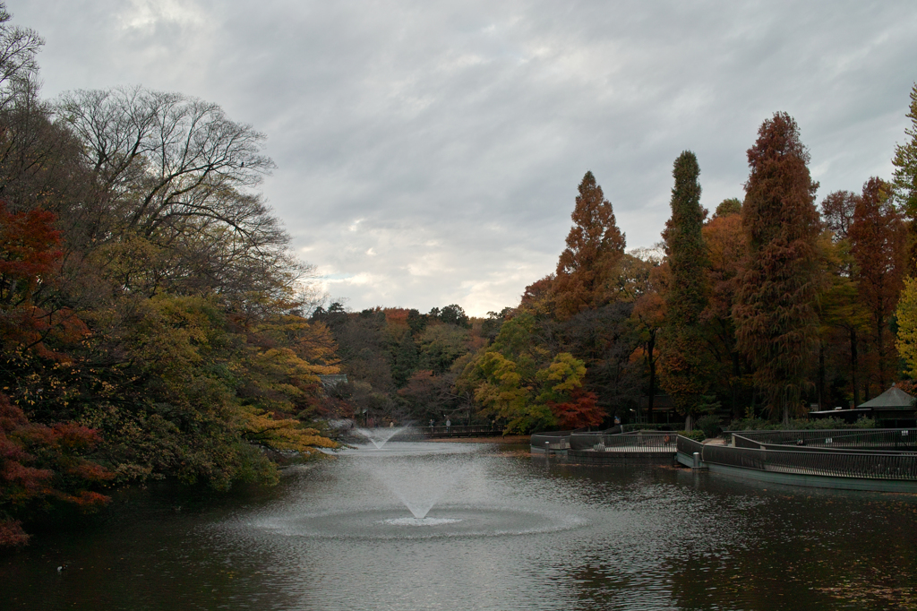 井の頭公園にて