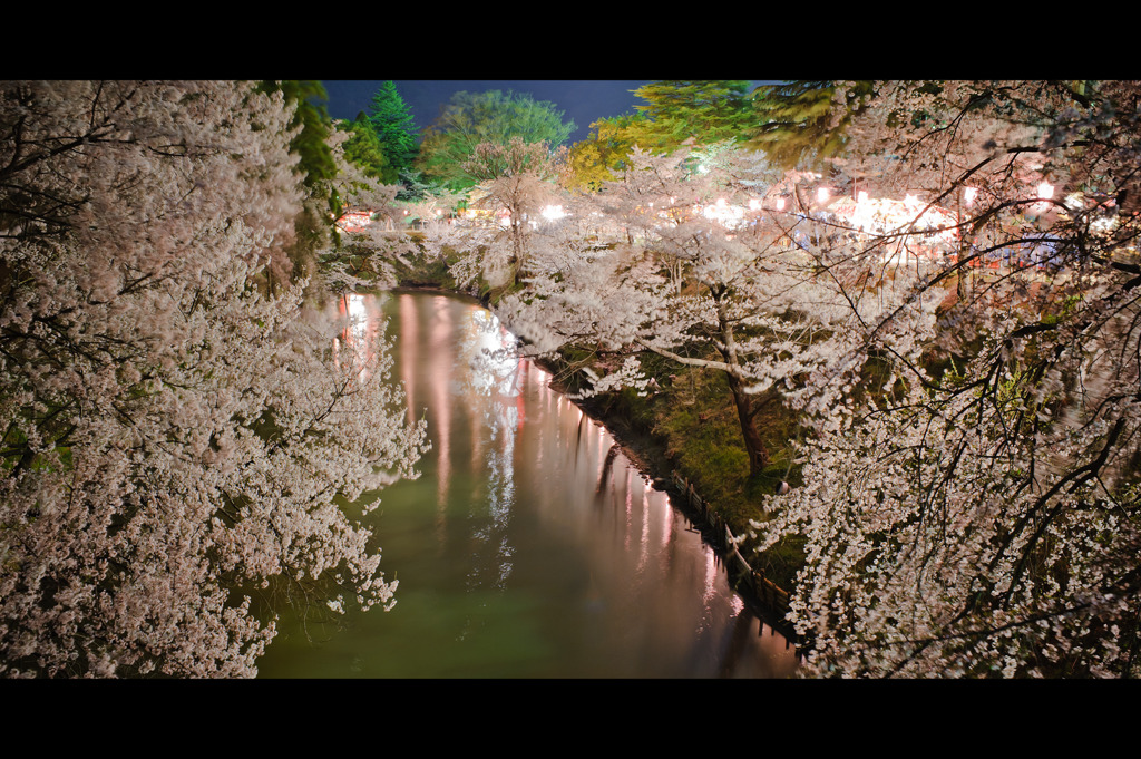 上田城の夜桜