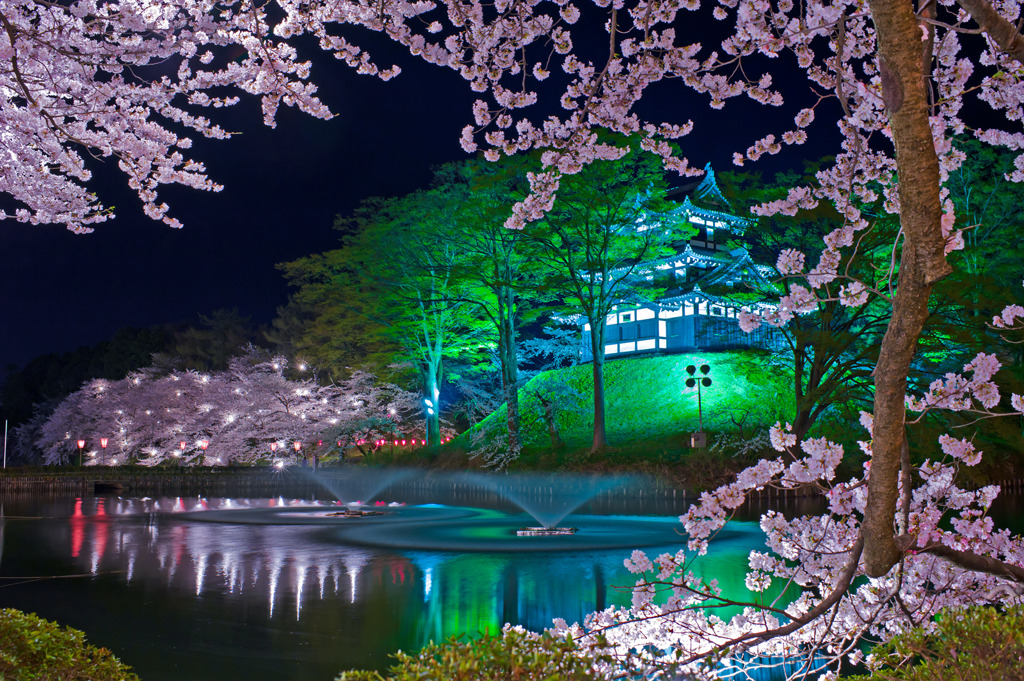 春夜の高田城