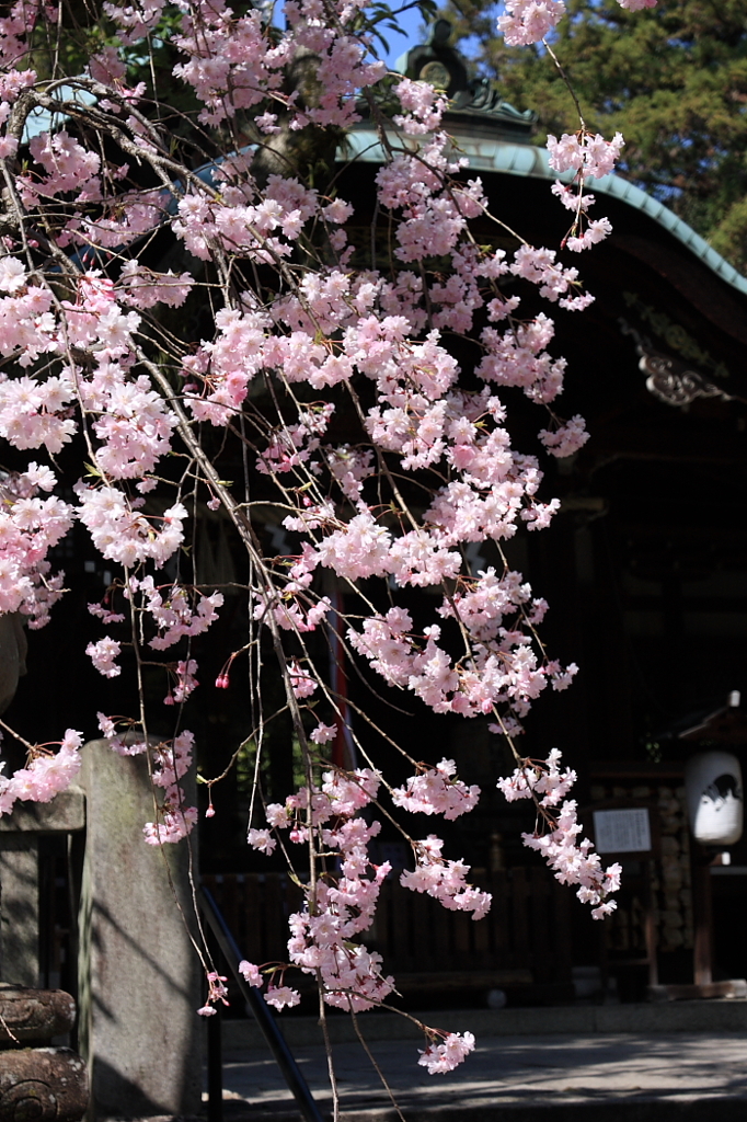 岡崎神社