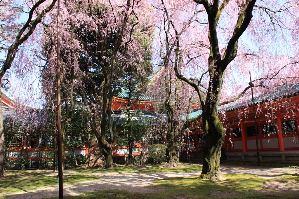 平安神宮　神苑