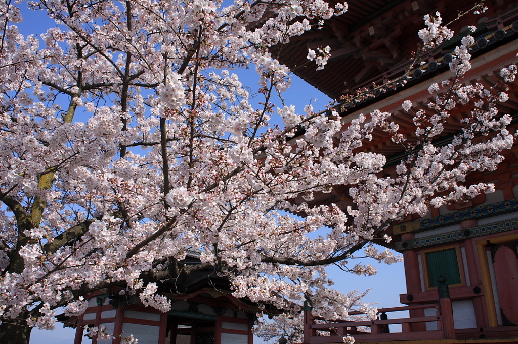 清水寺　三重塔