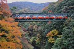 秋を渡る列車