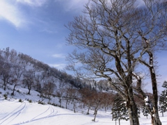 P1030487