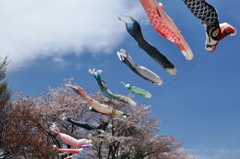 風に乗って！