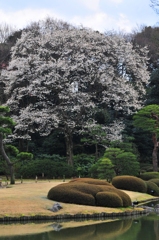 お庭