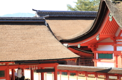 門出　宮島 厳島神社