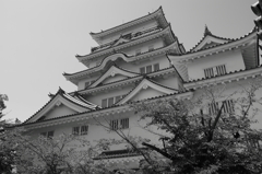 castle fukuyama 