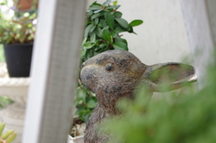 うさぎ-1-