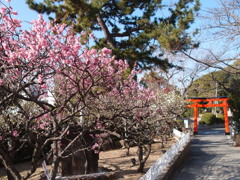 網敷天満宮