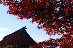 紅葉の曼陀羅寺