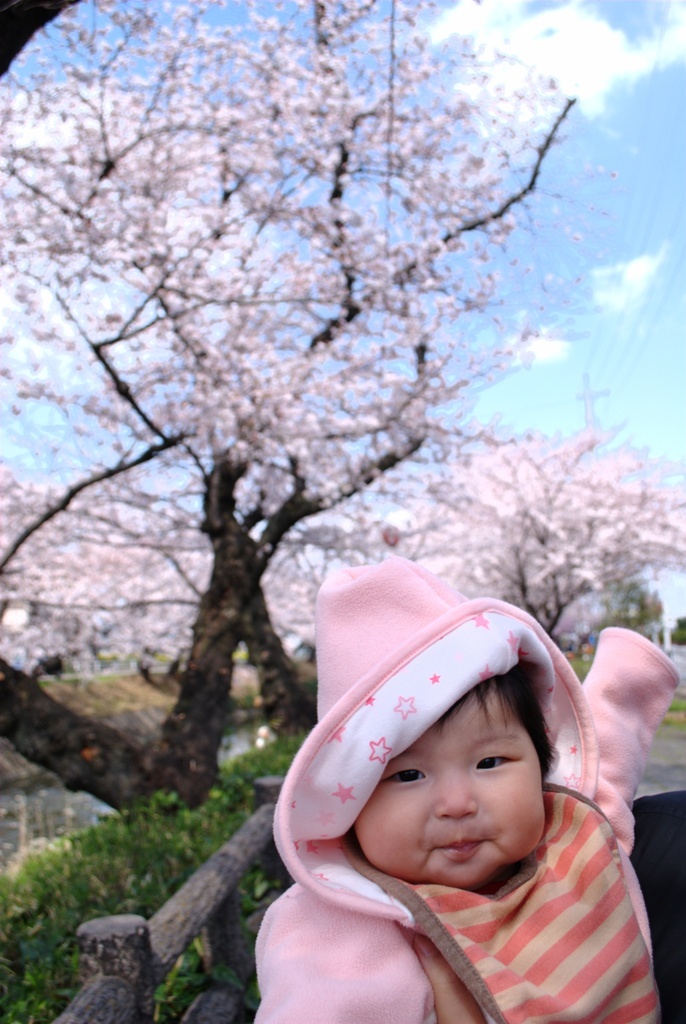 晴れ空に娘と桜